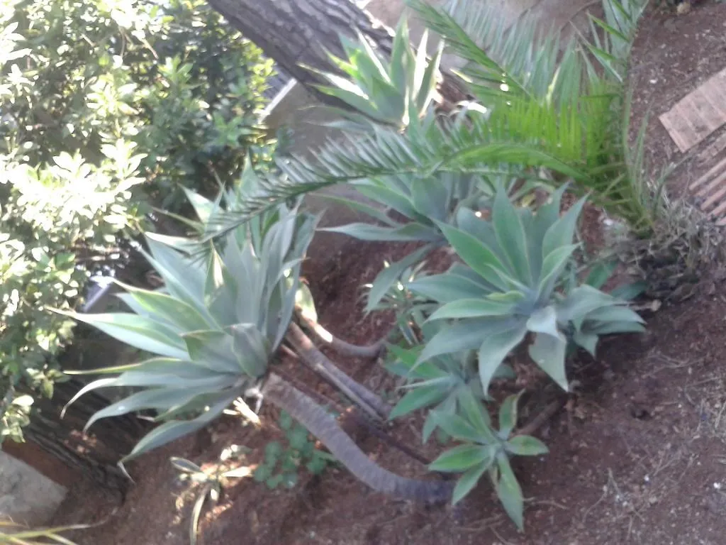 B&B Il Girasole Noto