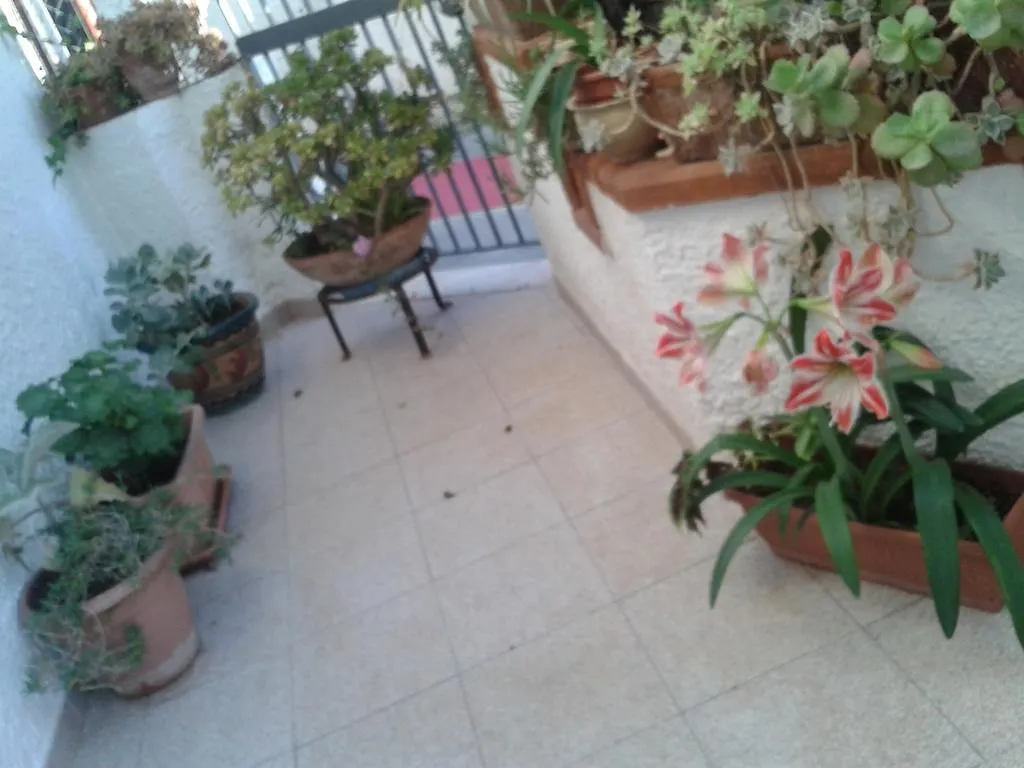 B&B Il Girasole Noto Bed & Breakfast