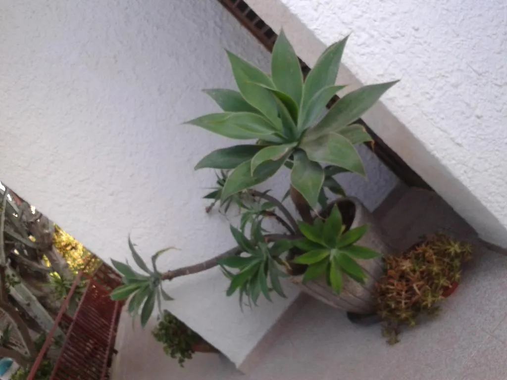 B&B Il Girasole Noto