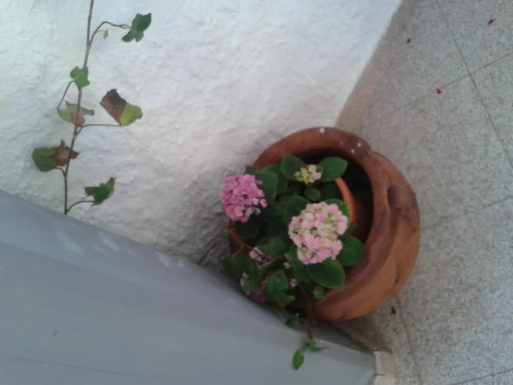 Bed & Breakfast B&B Il Girasole Noto