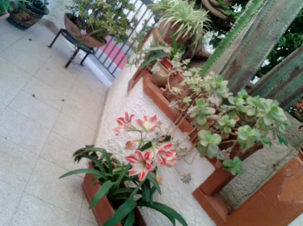 Bed & Breakfast B&B Il Girasole Noto